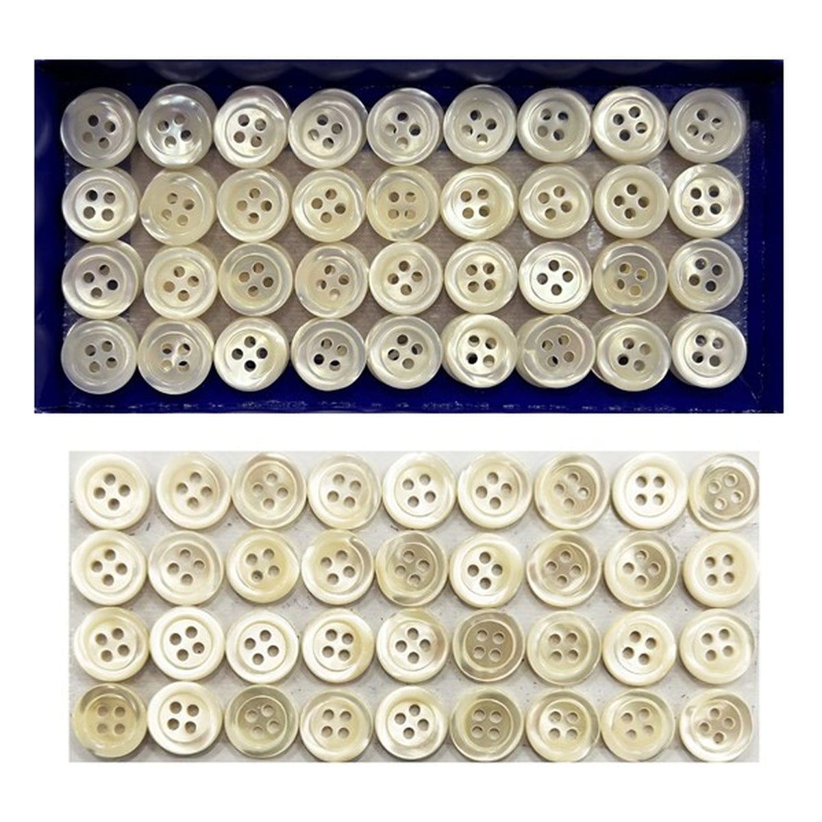 Bottone madreperla 4 fori n.26 pezzi 144 all'Ingrosso