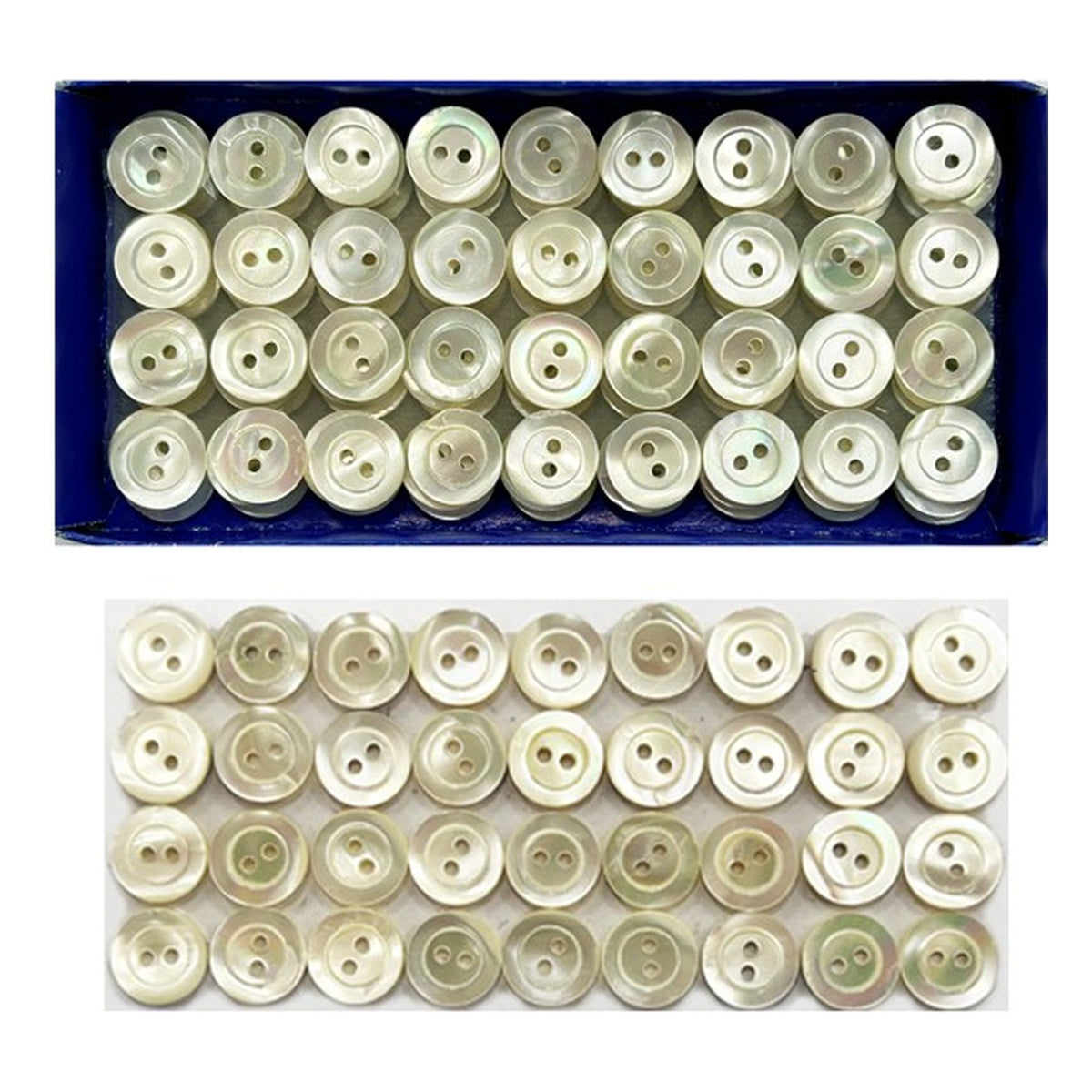 Bottone madreperla 2 fori n.24 pezzi 144 all'Ingrosso