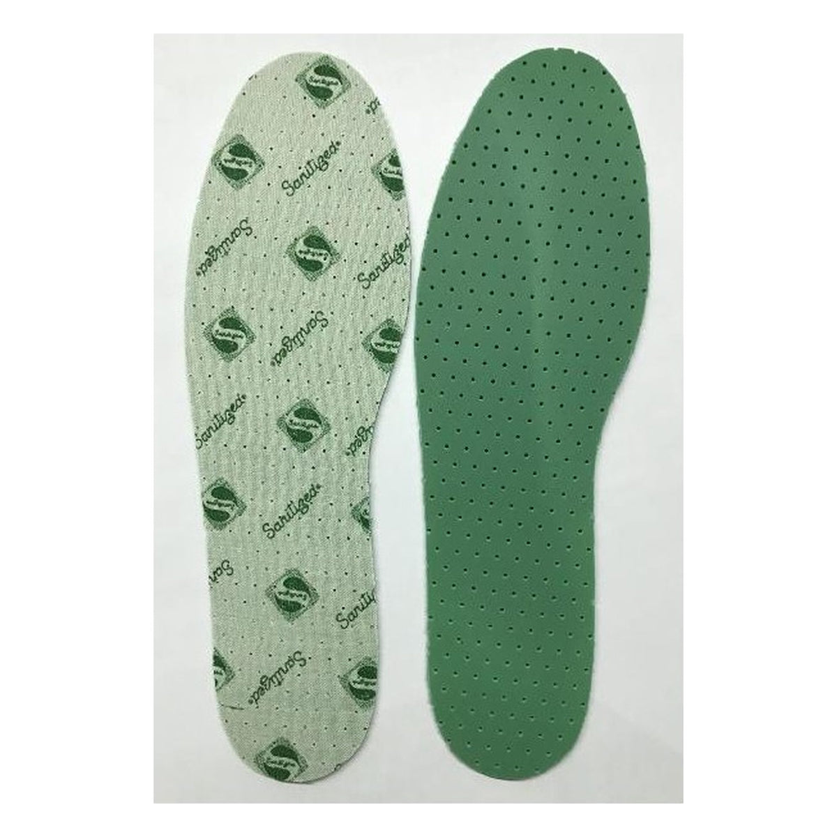 Solette Clorofilla 36/46 Paia 12 all'Ingrosso