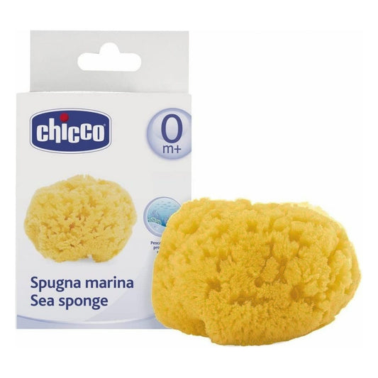 Spugna Marina Naturale Chicco 62179 all'Ingrosso